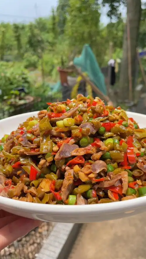 菜园子里的豆角吃不完拿来泡酸豆角,用来炒鸡杂真的太下饭了