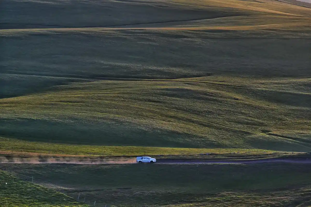 高山五花草甸天然大草原 - 抖音