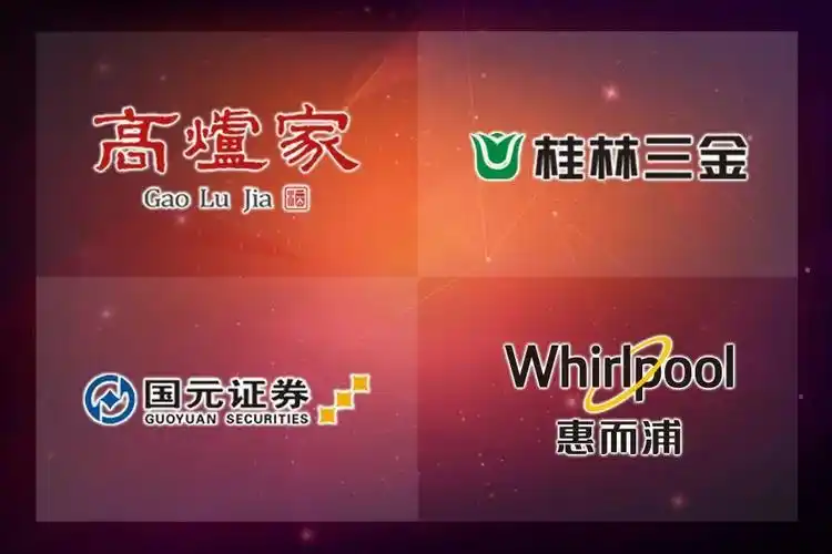金海豚传媒有限责任公司担纲媒体:安徽广播电视台卫视频道,5大地面