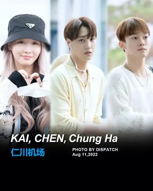 081101仁川机场exo金钟仁金钟大请夏