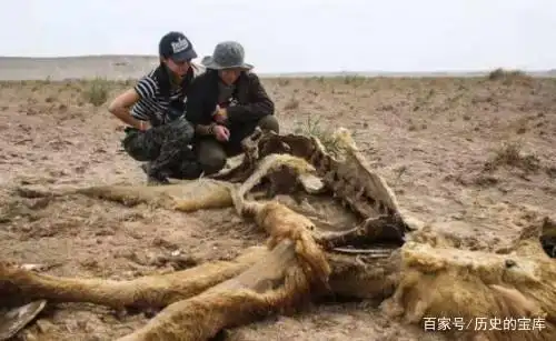 罗布泊发现大量干尸,专家得出惊人结论,《山海经》难道是真的?
