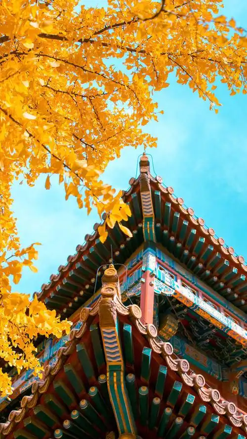 故宫- 堆糖,美图壁纸兴趣社区