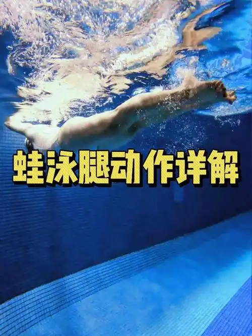 蛙泳腿部动作详解,大家学会了吗