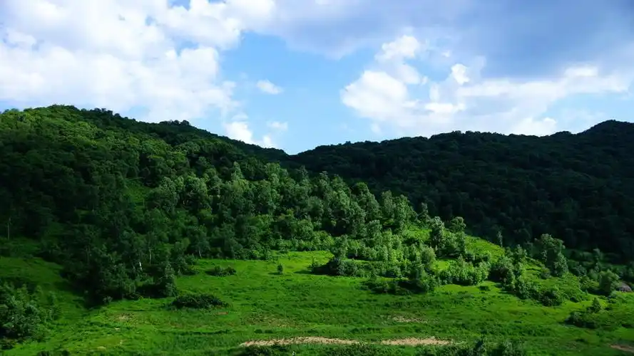 【图片31】高山草甸美景~--蜂鸟论坛照片套图