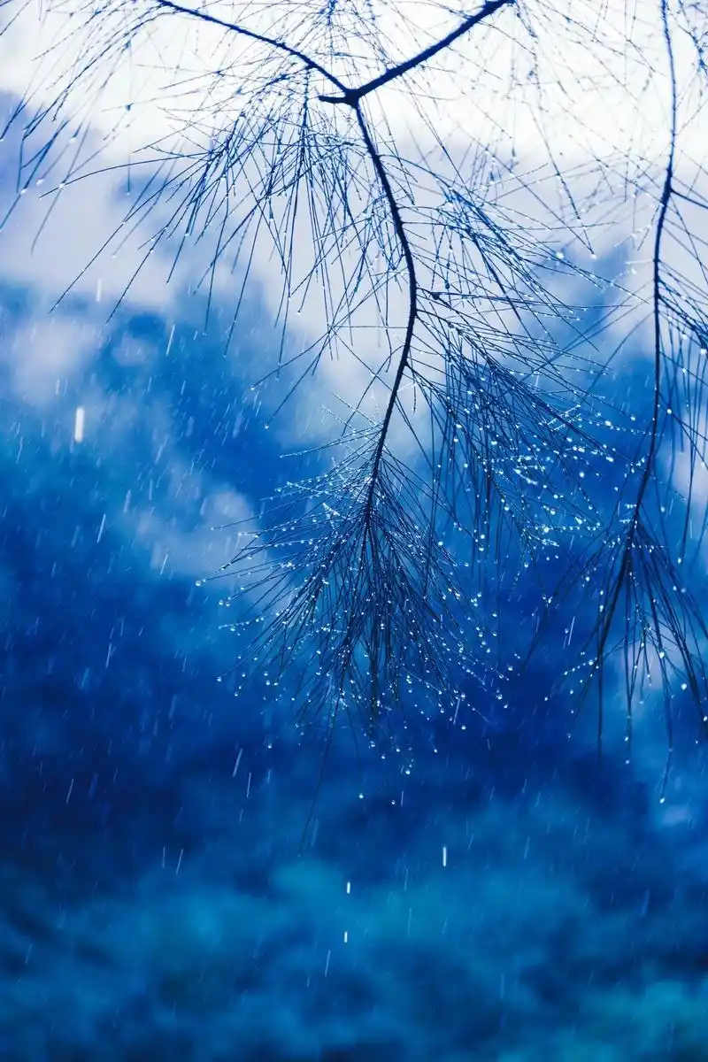 喜欢下雨天 看雨是一种解压#摄影 #治愈系风景 #一起享受大 - 抖音