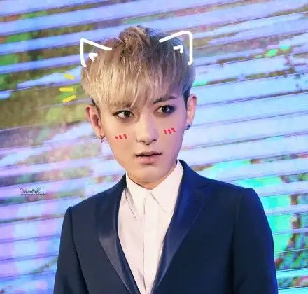 黄子韬 黄子喵 萌图