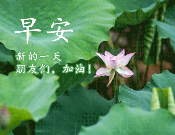 早上好问候祝福带字图片,早安励志哲理祝福语