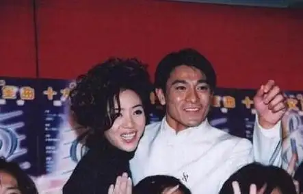 粉丝都泪奔了,只为纪念逝去的她|刘德华|梅艳芳|演唱会_新浪新闻