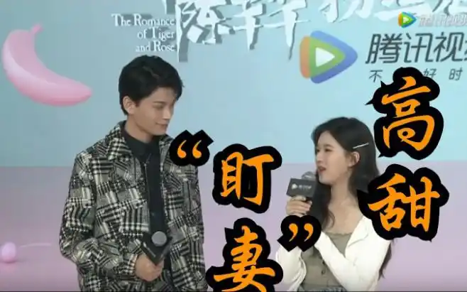 丁禹兮赵露思粉丝见面会盯妻混剪快进来嗑糖