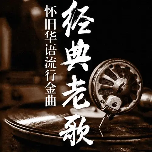 正版国语粤语经典老歌车载cd碟片怀旧音乐歌曲无损黑胶汽车用光盘-泡