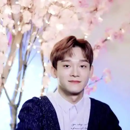 exo成员金钟大首先当爸,素人妻子顺利产女_祝福_恋情_消息