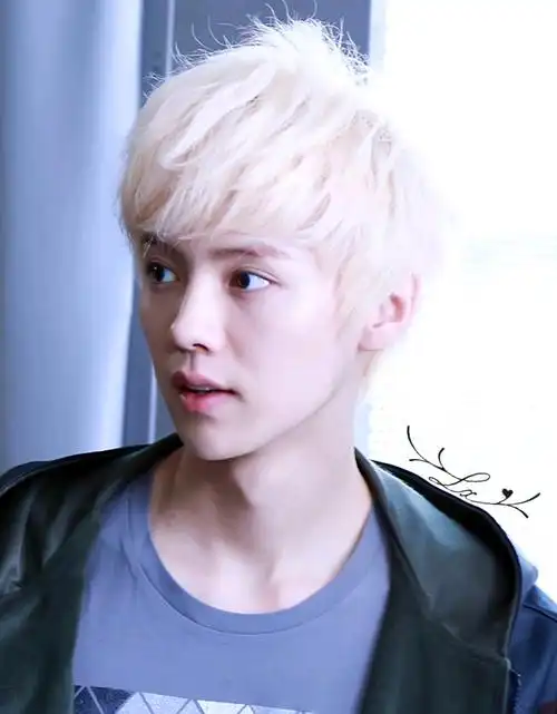 鹿晗exo 帅哥