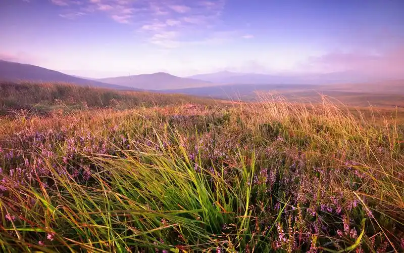 祖国country1080p2k4k8k视频