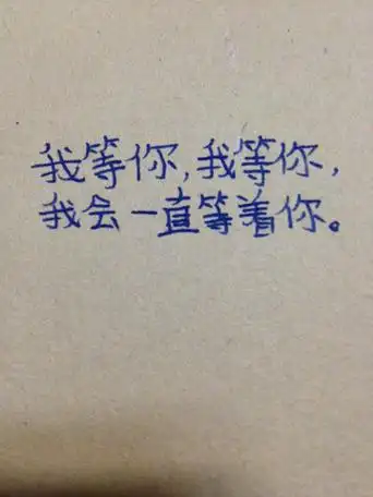 求写字好看的写一下.(我等你,我等你,我会一直等着你)