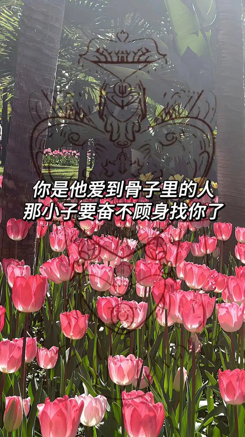 分手复合 #手机墙纸 #二次心动 #失而复得 #能量壁纸 - 抖音