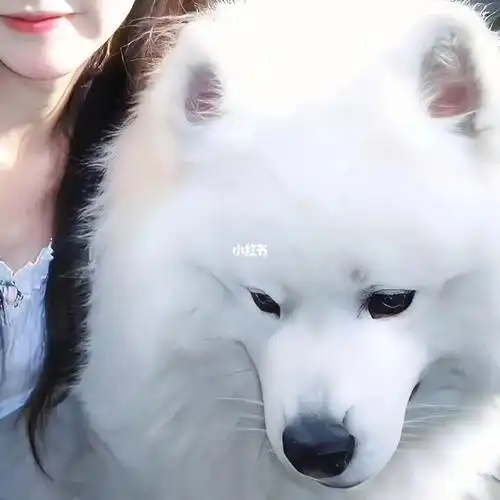 30期对象不是人系列情头