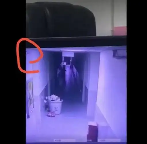 某高校女生"养小鬼"吓疯整栋楼?