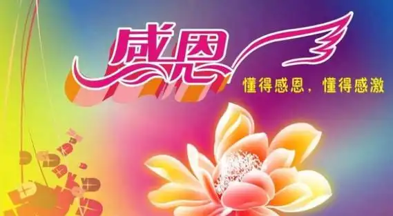 大恩不必言的意思,俗话说大恩不言谢图3