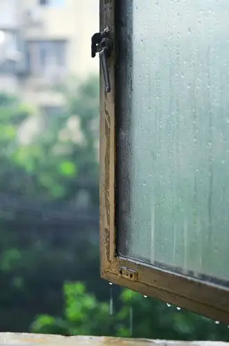 比往年多了很多,看着窗外淅淅沥沥的雨水打湿不太干净的窗户的时候