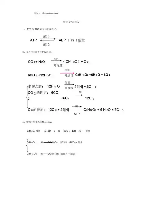 高中生物相关的生物化学反应式