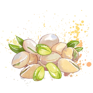 春夏水彩开心果坚果白色零食