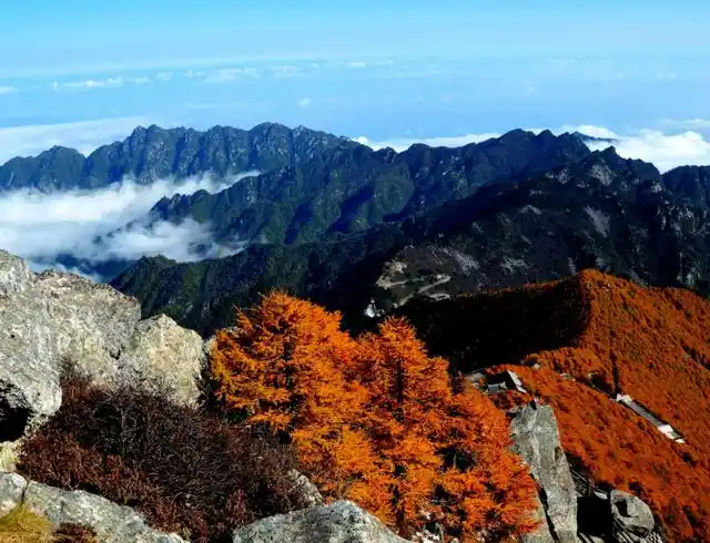 秦岭的最高峰,陡峭险峻的太白山,是观赏云海的好去处