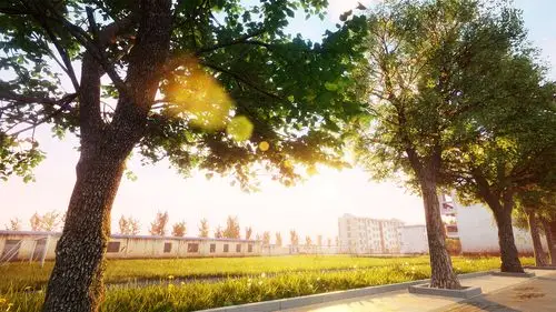 记忆中的夏日校园|三维|场景|羞涩的小红豆 - 原创作品 - 站酷 (zcool