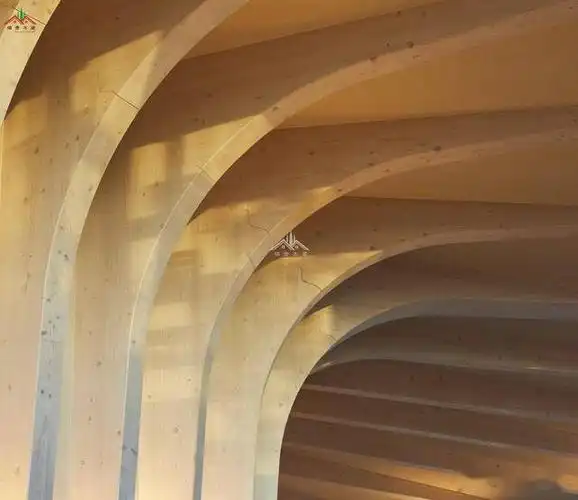 屋顶种草,远看像个小山包的花瓶状胶合木木结构艺术交流中心