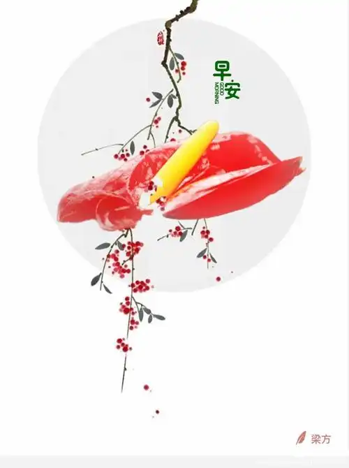 自制早安问候图册(二)