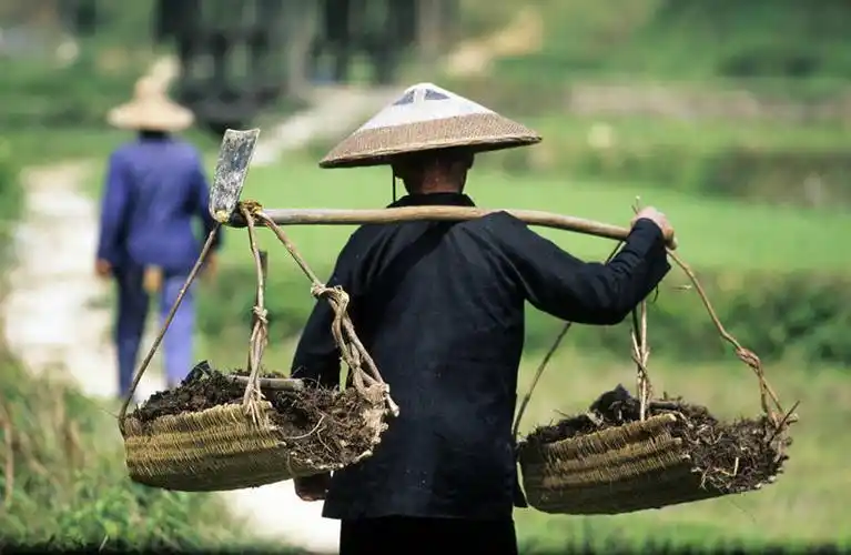 许多,阴影,堆叠,堆积,竹制,服装,朦胧,模糊,曲折,弯曲,编织,光线,扁担
