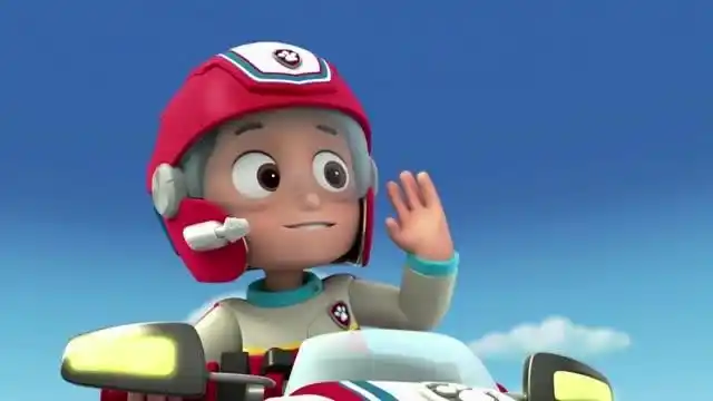 汪汪队:莱德没出事雅丽很高兴