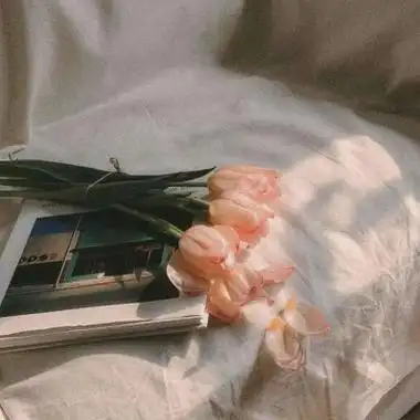 微信简约头像文艺风景 磕磕绊绊从不言分离分享!