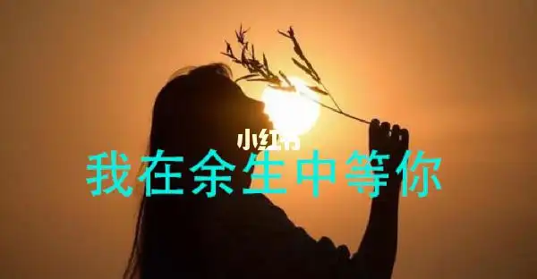 我在余生中等你