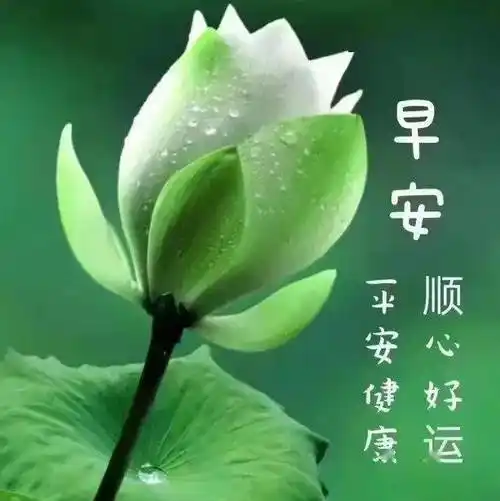 早上好问候祝福语,祝福满满,好运无数!