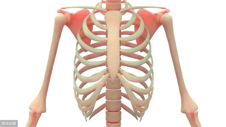 肩胛骨疼痛是什么原因引起的肩胛骨疼痛怎么治疗