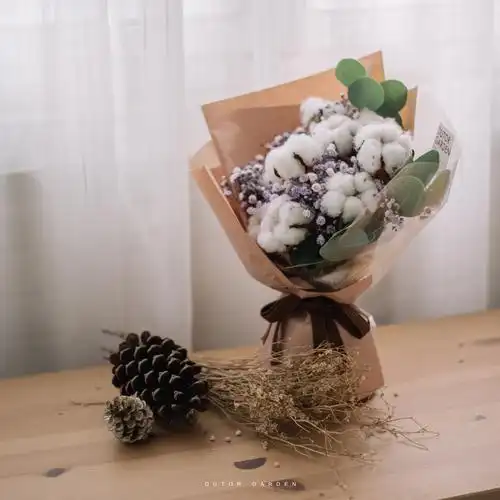 木棉花,仿佛走入小说中的场景