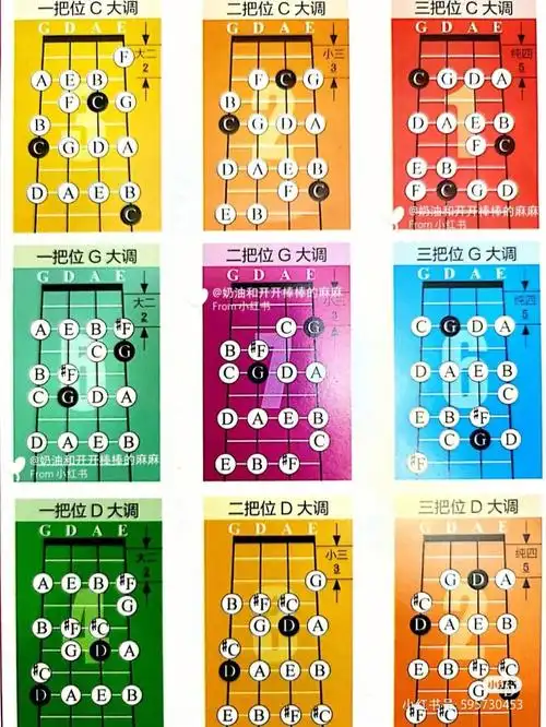 分享干货小提琴的各个把位不同调的指位