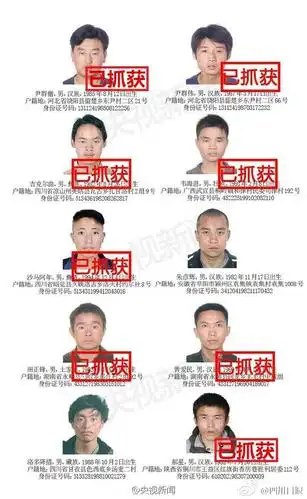 10名公安部通缉重大盗抢骗犯罪在逃人员全部落网