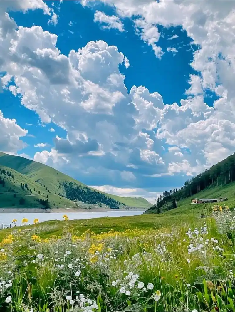 壁纸 风景 摄影 桌面 928_1232 竖版 竖屏 手机