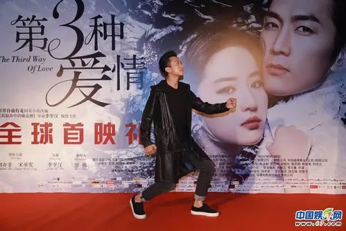 《第三种爱情》首映刘亦菲宋承宪走t台 邓超苏志燮李政宰助阵