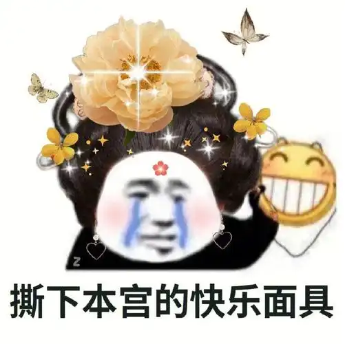 熊猫头表情包甄嬛传系列