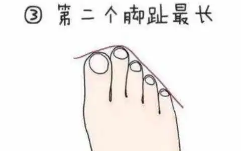 从脚趾长短看你命运好不好