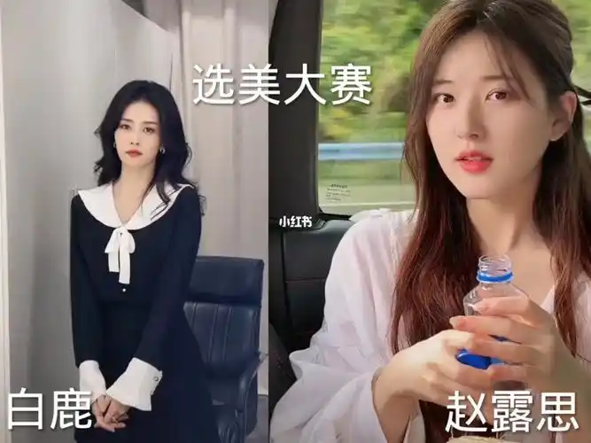 选美大赛白鹿vs赵露思