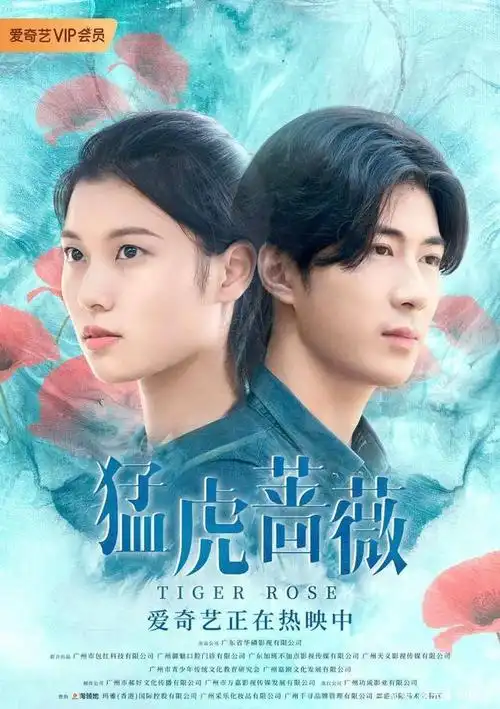 电影猛虎蔷薇一部不容错过的青春片