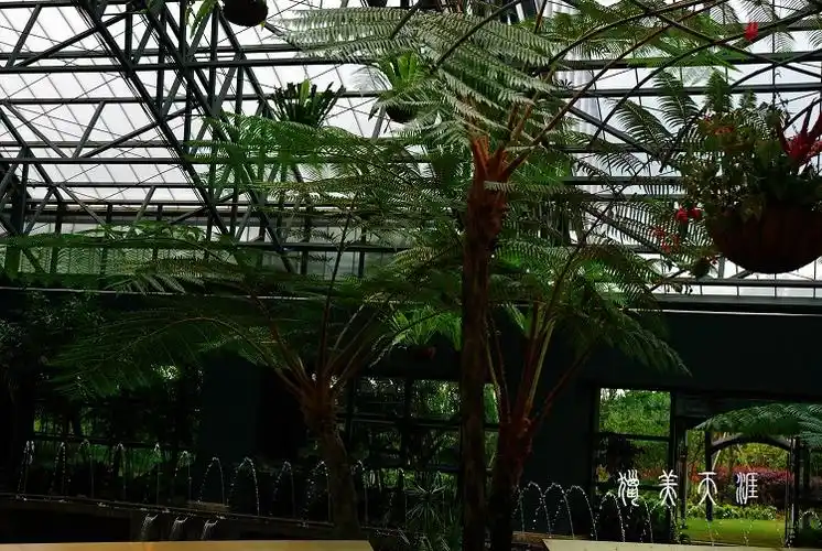 【转载】【原创】深圳华侨城四季植物馆
