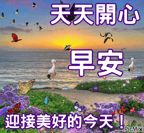 8张免打字非常漂亮的夏日早安问候动态表情图片夏天清早问候大家早上
