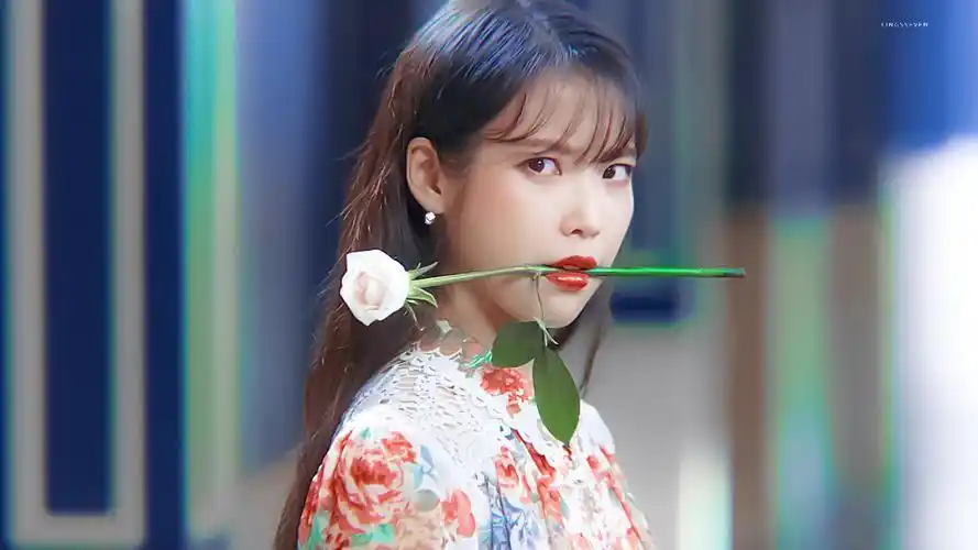 iu | 德鲁纳酒店 cr:黑崎一贤 - 堆糖,美图壁纸兴趣社区