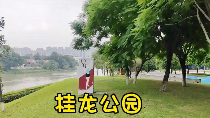逛桂龙公园观锦江美景