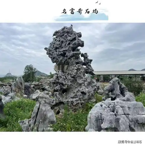 江西黑太湖石鱼池围边,太湖石景观石产地在哪里?黑山石批发价格