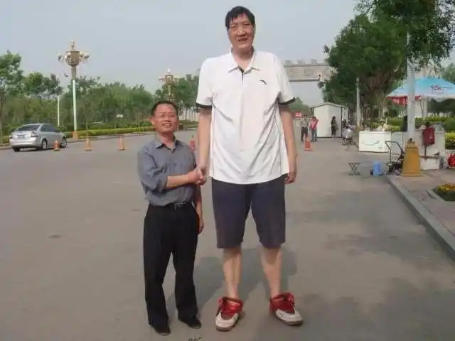 中国最高的十个人是谁他们没有一个打篮球的